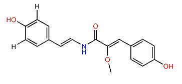 Botryllamide F